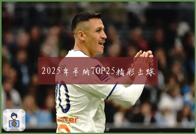 2025年辛纳TOP25精彩击球