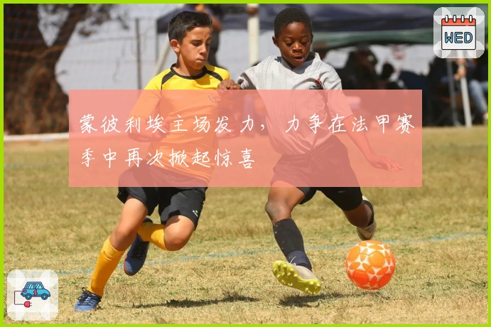 蒙彼利埃主场发力，力争在法甲赛季中再次掀起惊喜