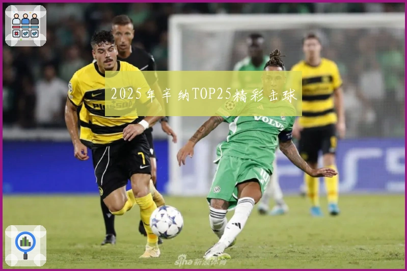 2025年辛纳TOP25精彩击球